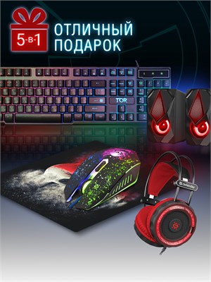 Набор для игры на компьютере включает в себя колонки, клавиатуру, наушники, коврик и мышь 1000025420