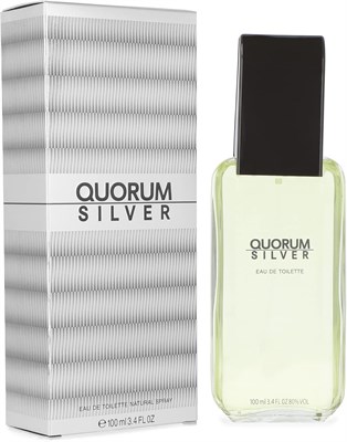 Туалетная вода-спрей QUORUM Antonio Puig Silver For Men, 100 мл 1000029801