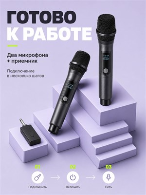 Для караоке предоставлены два беспроводных микрофона 1000033748