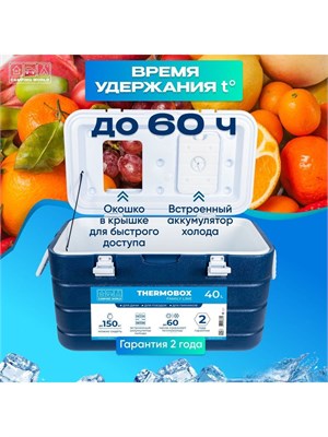 Семейный термоконтейнер Camping World объемом 40 литров 1000034335