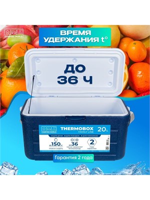 Семейный термоконтейнер Camping World объемом 20 литров 1000034338
