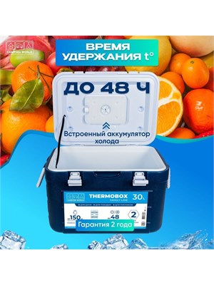 Семейный термоконтейнер Camping World вмещает 30 литров 1000034340