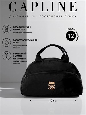 Сумка для фитнеса - спортивная женская, а для самолета - дорожная ручная кладь 1000041985