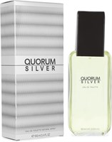Туалетная вода-спрей QUORUM Antonio Puig Silver For Men, 100 мл 1000029801
