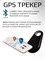 GPS трекер для собак и кошек, который совместим с устройствами на базе Android и iPhone 1000024608