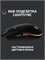Имеется в виду, что мышь Logitech G102 LightSync - это проводная игровая мышь с поддержкой RGB подсветки, выполненная в черном цвете 1000025495