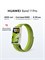 Смарт-браслеты HUAWEI Band 11 Pro с диагональю 43.5 мм в зеленом цвете 1000026320
