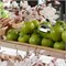 Парфюмерия Be Delicious от DKNY для женщин - Парфюмерная вода, 100 мл 1000028700