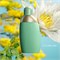 Cacharel Eden For Women Парфюмированная вода, 30 мл 1000029002