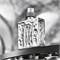 Туалетная вода CERRUTI 1881 Silver For Men, 100 мл 1000029779