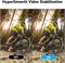 Экшн-камера AKASO V50 Elite 4K60fps WiFi с электронной стабилизацией изображения (EIS), сенсорным экраном и голосовым управлением, водонепроницаемость до 40 м, регулируемый угол обзора, 8-кратный зум, пульт дистанционного управления (с картой MicroSD 64 Г 1000030160