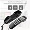 Компактный стационарный телефон с двойным Caller ID и ЖК-дисплеем, предназначенный для использования в доме, офисе или отеле. Обладает 38 ячейками памяти для зарегистрированных звонков. Цвет - черный 1000032031