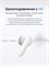 Наушники realme TechLife Buds - это беспроводные вкладыши черного цвета 1000034950