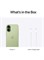 Apple iPhone 17 256 ГБ (Nano SIM + eSIM) Sage 5G с FaceTime — международная версия 1000021154