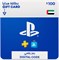 Grand Theft Auto VI (GTA 6) – Карта пополнения счета на 100 долларов США в PlayStation Store для PS5 (для ОАЭ) [Цифровой код] 1000036732