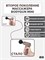 Мини-версия перкуссионного массажера BODYGUN - это электрический ударный вибрационный массажный пистолет, который эффективно борется с целлюлитом и мышечной болью в различных частях тела, включая шею, спину, ноги и икры 1000037968