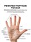 Медицинский массажер с шипами и двумя металлическими кольцами - это массажный шарик Су-Джок 1000038536