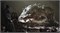 Mortal Shell II - PS5 1000041258