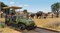 Planet Zoo: Console Edition (PlayStation 5) 1000041261