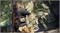Sniper Elite 5 (PS5) 1000041263