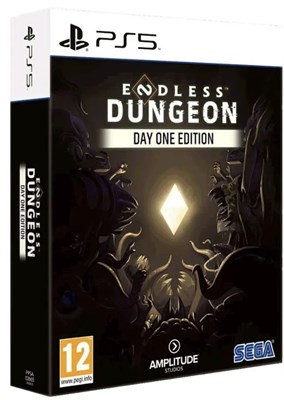 Endless Dungeon - Day One Edition 6187 - фото 10199