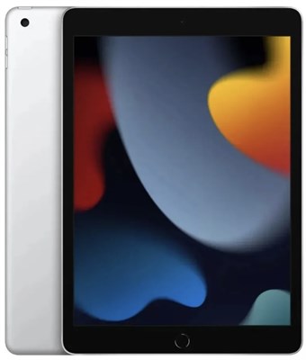 Планшет APPLE iPad 10.2 (2021) Wi-Fi 64Gb Silver 6700 - фото 10735