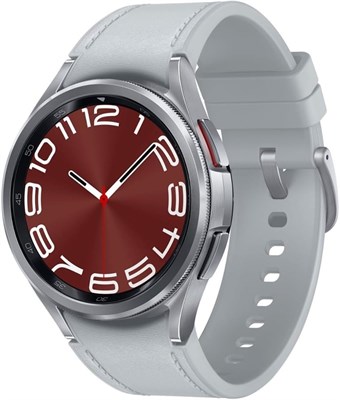 Samsung R950 Galaxy Watch 6 Classic 43 мм, серебристый 1000206 - фото 494577