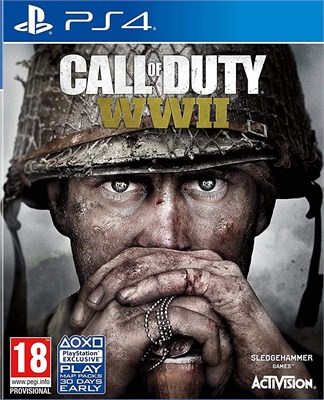 ACTIVISION Call of Duty World War II PlayStation 4 1002066 - фото 496724