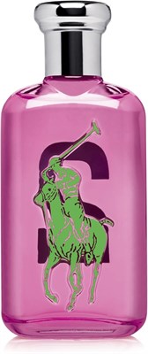 Туалетная вода-спрей Ralph Lauren Polo #2 Big Pony for Women, клюква и цветы, 3,4 жидких унции 1004244 - фото 499687