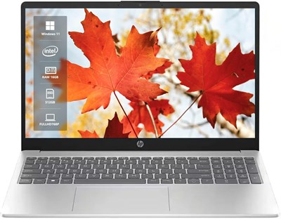 Ноутбук HP 15,6" с сенсорным экраном, Intel Core i5-1235u, 16 ГБ памяти, 512 ГБ SSD, графика Intel Iris Xe, Wi-Fi 6E, Windows 11 Home, идеально подходит для студентов и бизнеса, натуральный серебристый 1000003176 - фото 513624