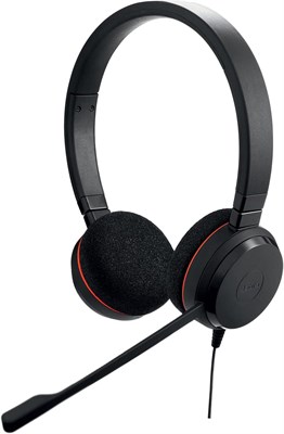 Стереогарнитура Jabra Evolve 20 — проводные наушники для VoIP-софтфона с пассивным шумоподавлением — USB-кабель с контроллером — чёрный, средний 1000008039 - фото 532306