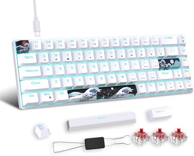 Портативная механическая игровая клавиатура Doeek 60% с 68 клавишами, подсветкой цвета "ледяной глаз" и более 19 режимами. Проводная игровая клавиатура для компьютеров Windows/Mac IOS/Linux (белая, красный переключатель) 1000008228 - фото 533260