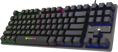 Полумеханическая игровая клавиатура EvoFox Fireblade TKL с радужной подсветкой и эффектом дыхания, плавающими клавишами, 19 клавишами с функцией Anti-Ghosting и 12 мультимедийными клавишами, клавишей блокировки Windows, плетеным кабелем (черного цвета) 1000008368 - фото 533919