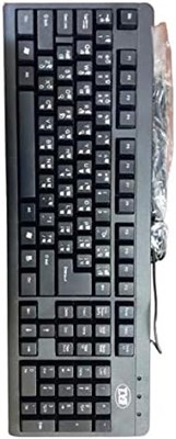 TVS ELECTRONICS Champ Devnagric Keyboard Usb 1000008384 - фото 534002