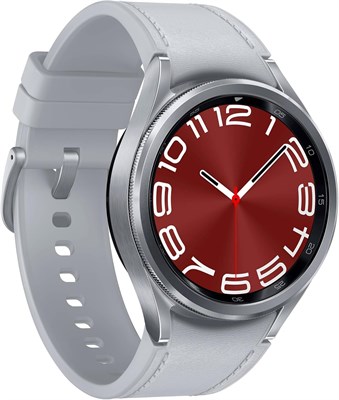 Samsung R950 Galaxy Watch 6 Classic 43 мм, серебристый 1000009903 - фото 539567