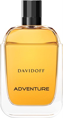 Davidoff Adventure Perfume for Men, туалетная вода 100 мл 1000010119 - фото 540552