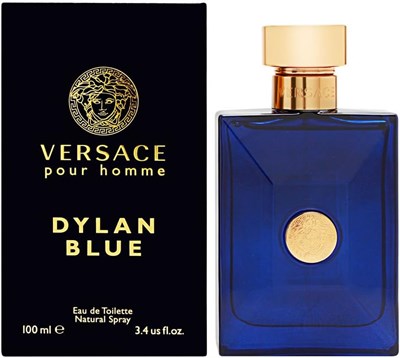 Туалетная вода Versace Pour Homme Dylan Blue для мужчин, 100 мл 1000010128 - фото 540591