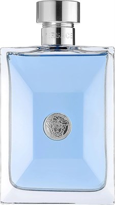 Versace Pour Homme - Мужские духи, 100 мл - EDT-спрей 1000010134 - фото 540620