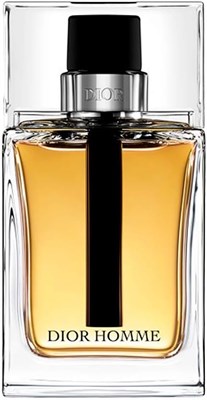 Dior Perfume - Christian Dior Dior Homme - духи для мужчин - Туалетная вода, 100 мл 1000010192 - фото 540858