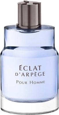 Lanvin Lanvin Eclat D'Arpege Pour Homme - духи для мужчин, Туалетная вода, 100мл 1000010297 - фото 541190