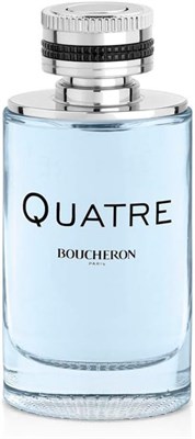 Мужская туалетная вода Boucheron Quatre Pour Homme, 100 мл 1000010304 - фото 541207