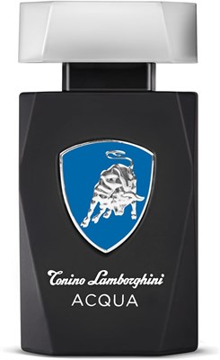 Мужская туалетная вода Tonino Lamborghini Acqua, 125 мл 1000010350 - фото 541335