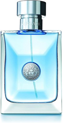 Versace Pour Homme Versace для мужчин - Туалетная вода, 100 мл 1000010376 - фото 541432