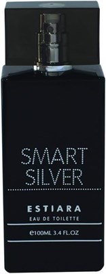ESTIARA Smart Silver Pour Homme for Men, Eau De Toilette, 100 мл для мужчин, черный, от The House of Sterling 1000010432 - фото 541634