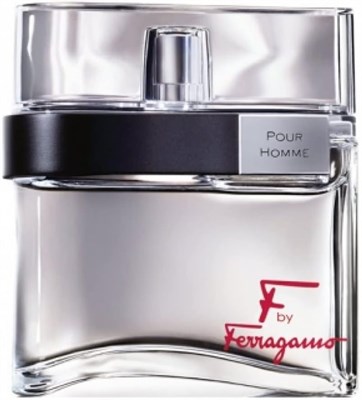 Salvatore Ferragamo F Pour Homme - perfume for men, 100 ml - EDT Spray 1000010480 - фото 541813