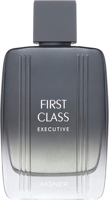 Туалетная вода AIGNER Etienne First Class Executive для мужчин, 100 мл 1000010503 - фото 541883