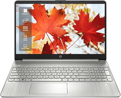 Ноутбук HP 15,6" FHD, процессор Intel Core i3-1215U, 8 ГБ ОЗУ, SSD-накопитель 256 ГБ, серебристый, Windows 11 Домашняя, графика Intel UHD, цифровая клавиатура, веб-камера HD (обновленная) 1000010976 - фото 544177