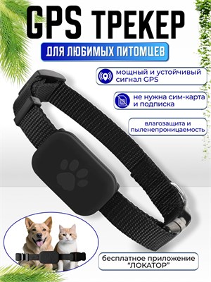 GPS трекер на ошейнике для кошек и собак, совместимый с iPhone 1000024711