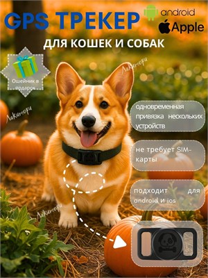 GPS - это устройство для отслеживания местоположения собак и кошек, которое помогает в поиске потерянного питомца. 1000024806