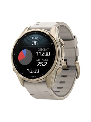 Смарт-часы Garmin FENIX 8 с дисплеем AMOLED из нержавеющей стали, размером 43 мм, в золотистом цвете 1000026318